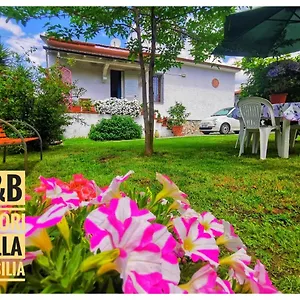 Colori Della Versilia Italia